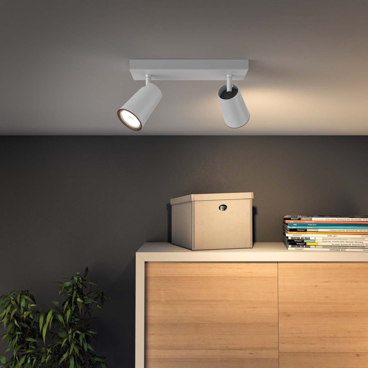 Paisley 2 Hvid spotlight Fra Philips - Lavet af hvidt metal for et rent og minimalistisk udtryk, der passer ind i de fleste hjem.