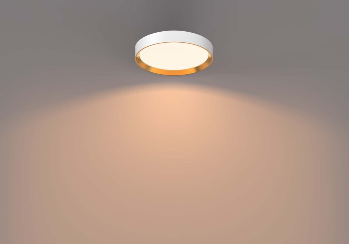 Hanno Ø38 Hvid plafond Fra Philips - Philips Hanno SceneSwitch LED-loftslampen giver dig tre lysstyrkeniveauer, der er perfekte til enhver lejlighed.