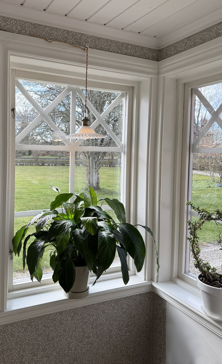 Silvia Ø22 Antik messing/hvid vindueslampe Fra Aneta Lighting - Lavet af metal i antik messingfinish og med en hvid glasskærm, der har en smukt bølget flæse i bunden.