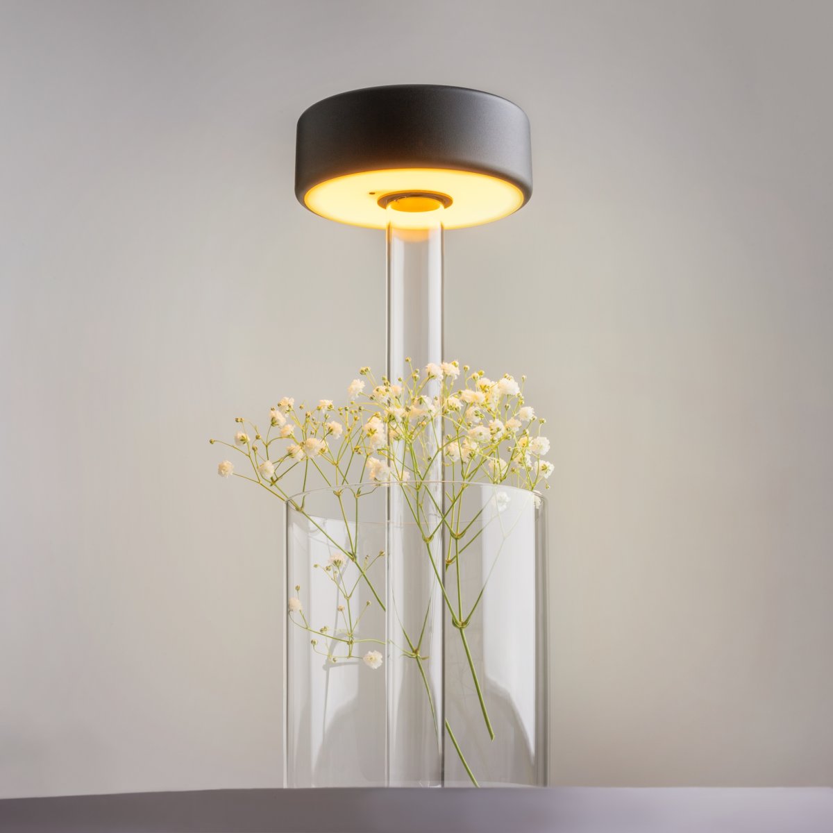 AI Collaboration 35cm Sort bærbar Fra Maytoni - Lampen fås i tv&aring; udførelse: med en tynd metalstang på; en flad rund bund eller med en glasbund, der integrerer en vase.