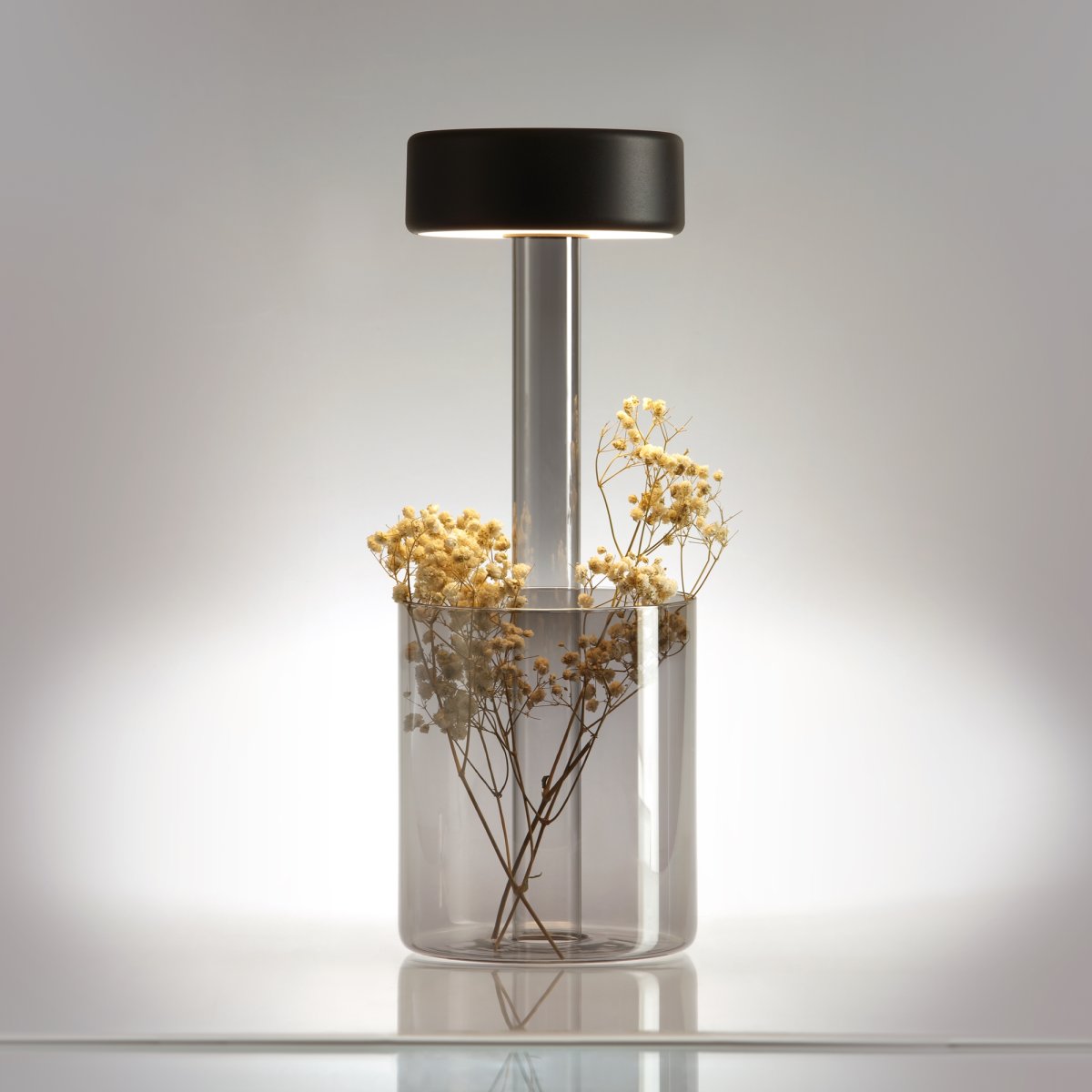 AI Collaboration 35cm Grå bærbar Fra Maytoni - Lampen fås i tv&aring; udførelse: med en tynd metalstang på; en flad rund bund eller med en glasbund, der integrerer en vase.