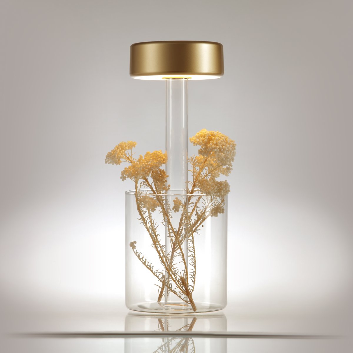 AI Collaboration 35cm Guld bærbar Fra Maytoni - Lampen fås i tv&aring; udførelse: med en tynd metalstang på; en flad rund bund eller med en glasbund, der integrerer en vase.