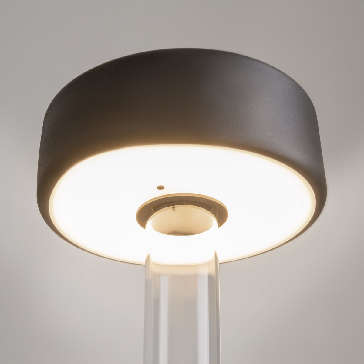 AI Collaboration 35cm Sort bærbar Fra Maytoni - Lampen fås i tv&aring; udførelse: med en tynd metalstang på; en flad rund bund eller med en glasbund, der integrerer en vase.