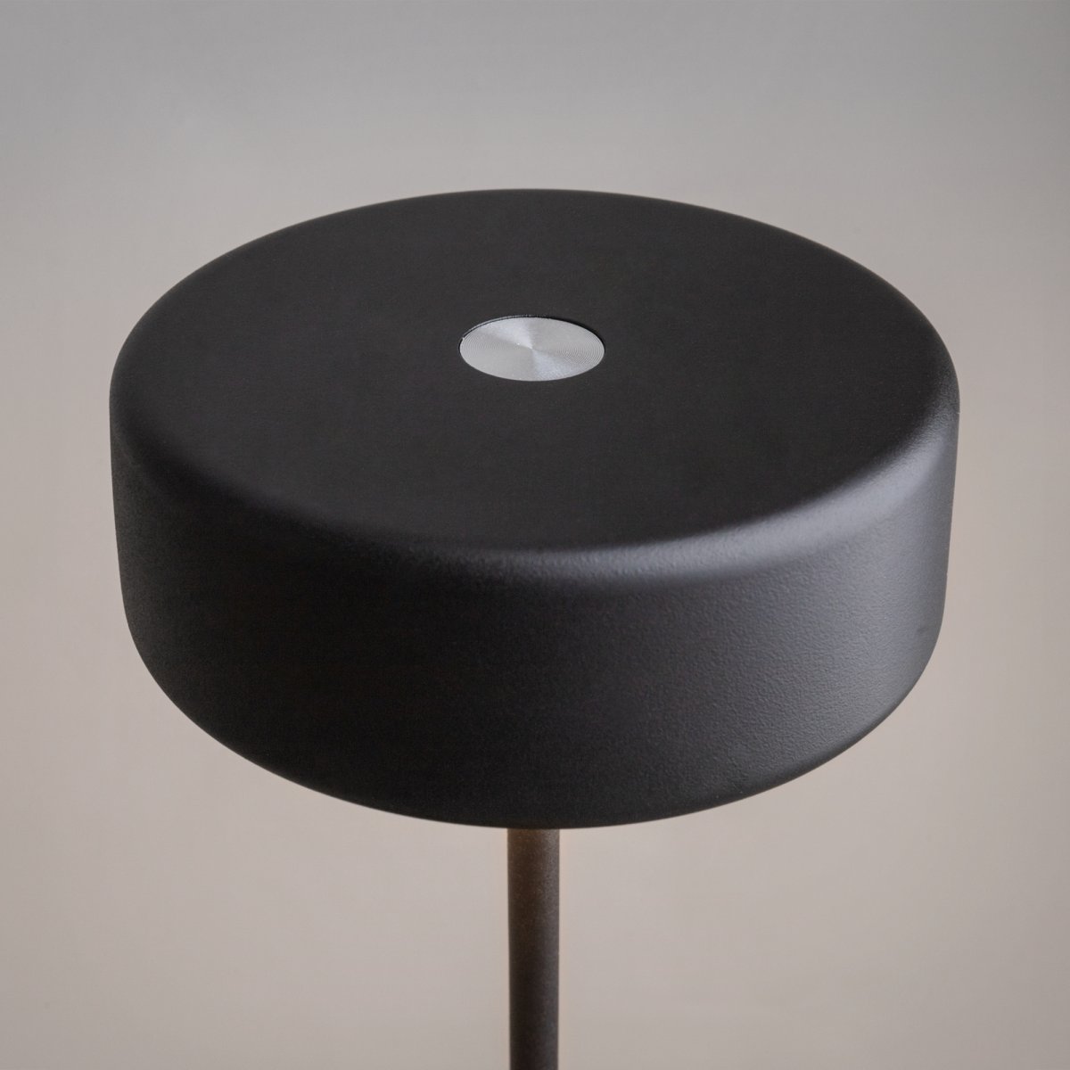 AI Collaboration 35cm Sort bærbar Fra Maytoni - Lampen fås i tv&aring; udførelse: med en tynd metalstang på; en flad rund bund eller med en glasbund, der integrerer en vase.
