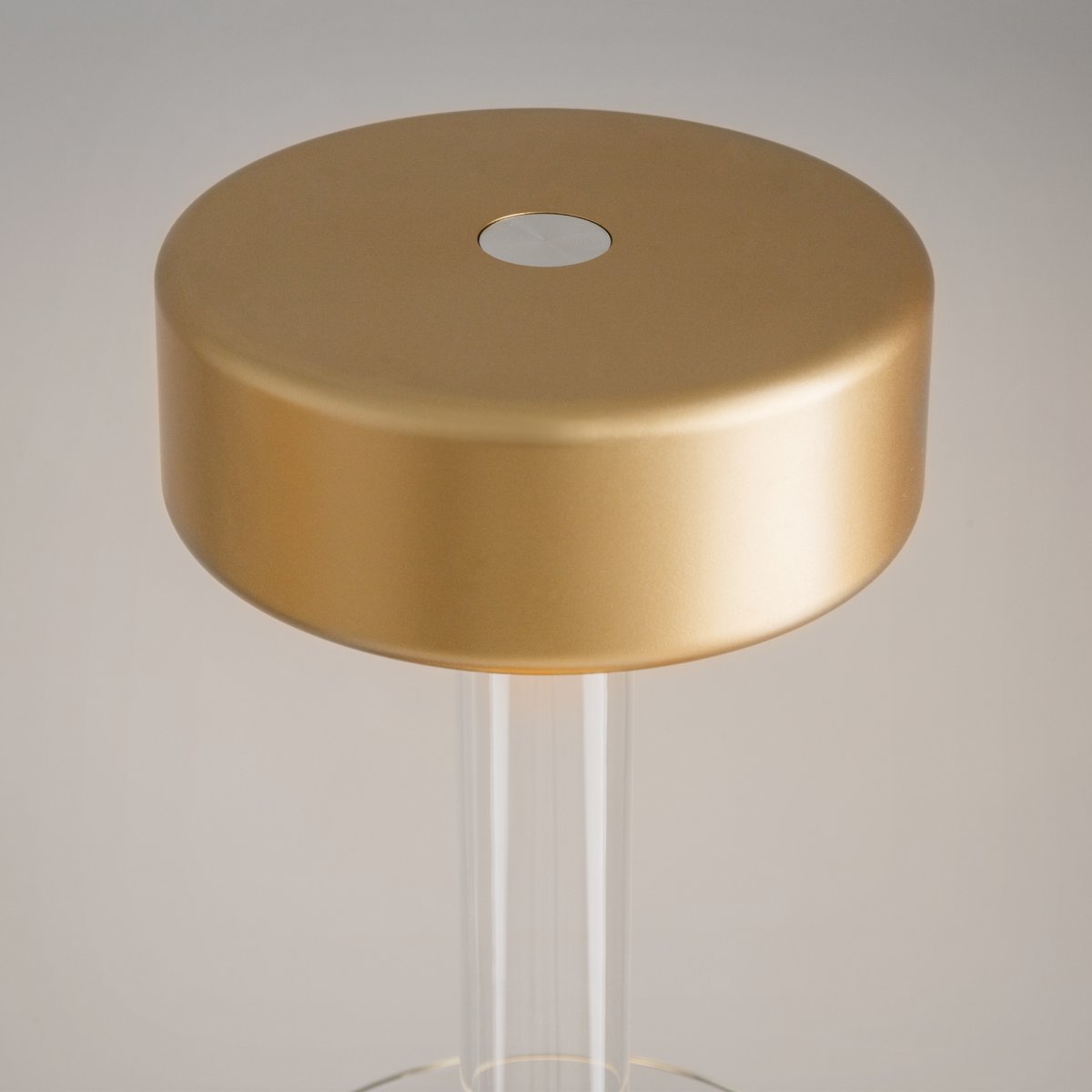 AI Collaboration 35cm Guld bærbar Fra Maytoni - Lampen fås i tv&aring; udførelse: med en tynd metalstang på; en flad rund bund eller med en glasbund, der integrerer en vase.