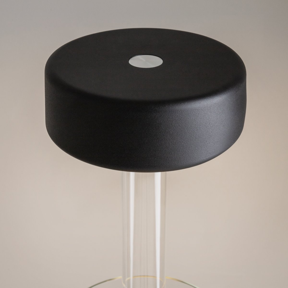AI Collaboration 35cm Sort bærbar Fra Maytoni - Lampen fås i tv&aring; udførelse: med en tynd metalstang på; en flad rund bund eller med en glasbund, der integrerer en vase.
