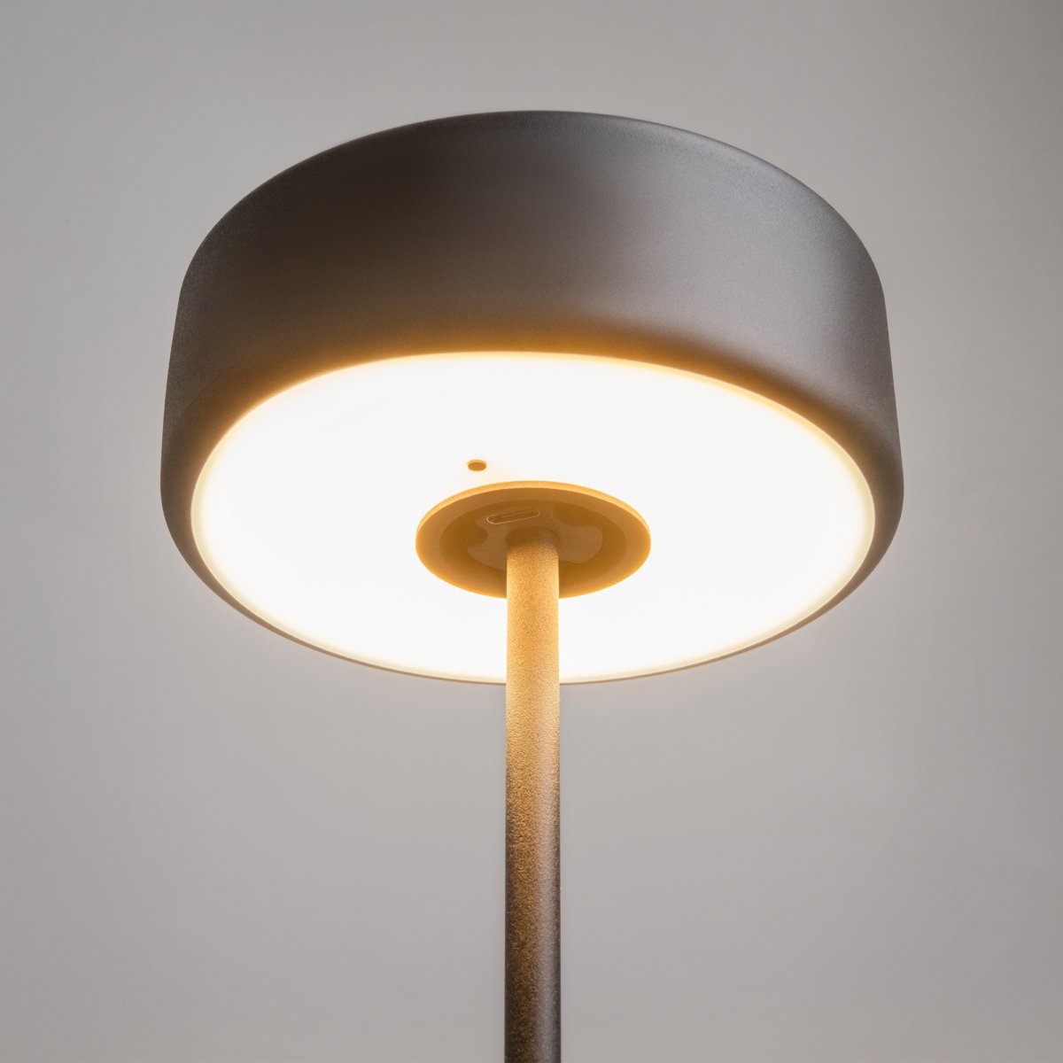 AI Collaboration 35cm Sort bærbar Fra Maytoni - Lampen fås i tv&aring; udførelse: med en tynd metalstang på; en flad rund bund eller med en glasbund, der integrerer en vase.
