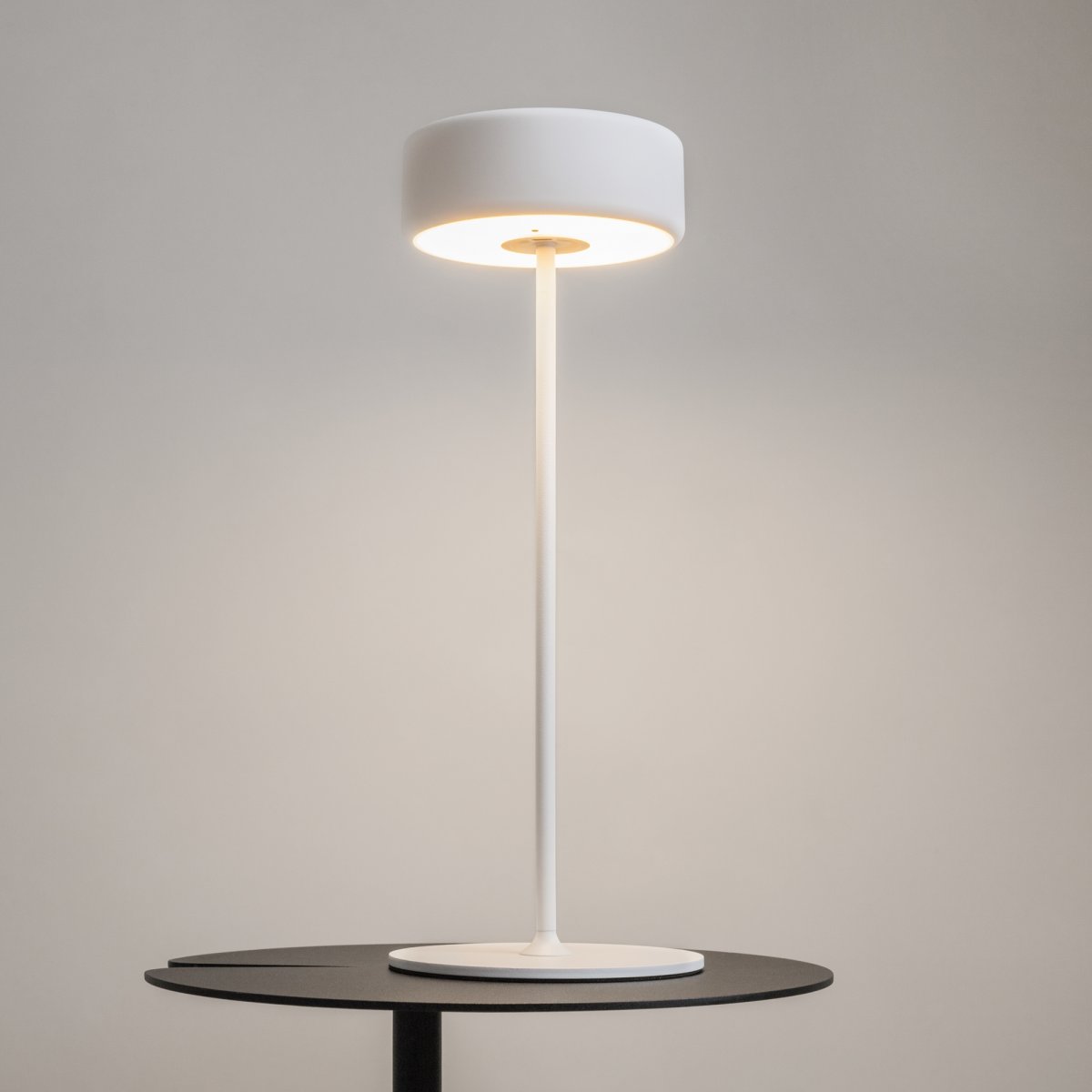 AI Collaboration 35cm Hvid bærbar Fra Maytoni - Lampen fås i tv&aring; udførelse: med en tynd metalstang på; en flad rund bund eller med en glasbund, der integrerer en vase.