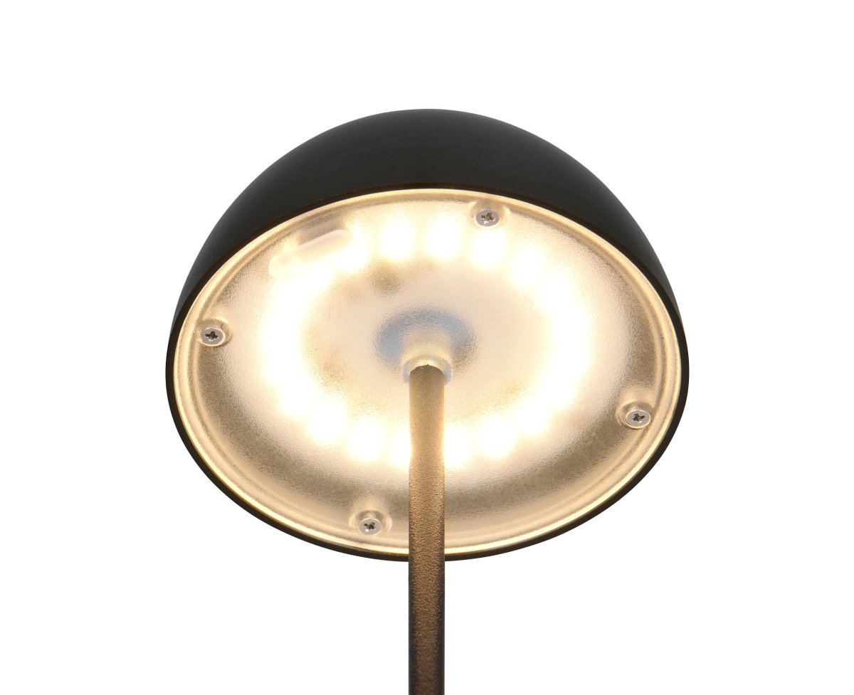 Ortiz 20cm Sort bærbar Fra Trio Lighting - 