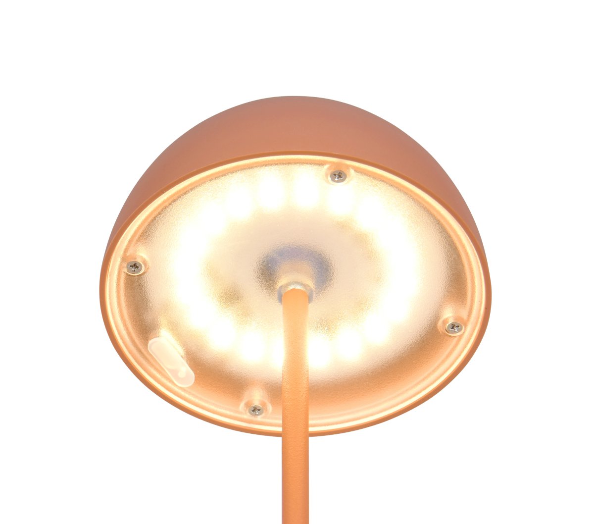 Ortiz 20cm Abrikos bærbar Fra Trio Lighting - 