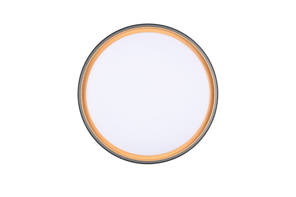 Felis Ø40 Sort plafond Fra Trio Lighting - Den energieffektive LED-teknologi sparer op til 80 % p&aring; energiomkostningerne og giver en lang levetid med lav varmeudvikling &ndash; en smart og milj&oslash;venlig l&oslash;sning til dit hjem.