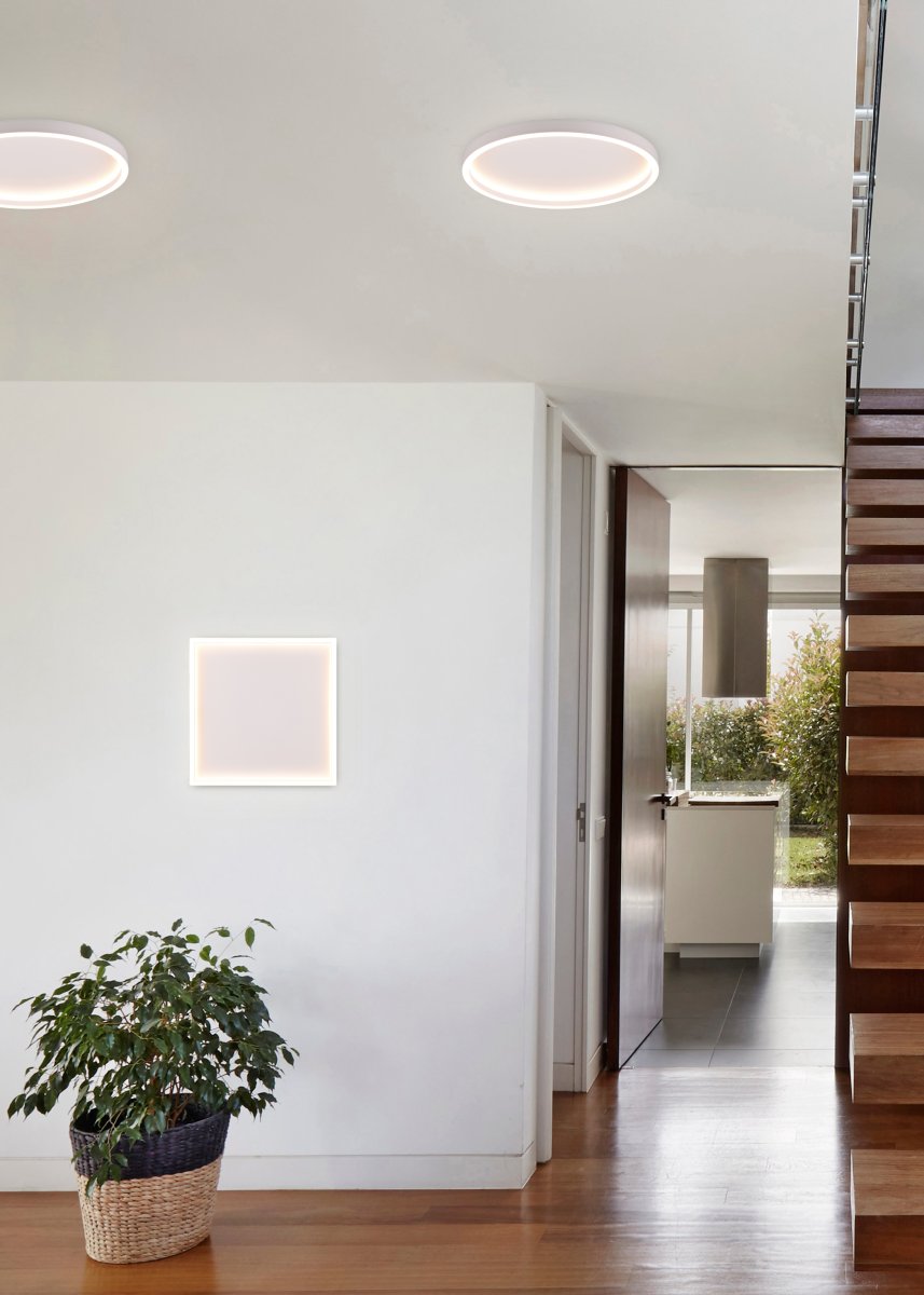 Rotonda Ø35 Hvid plafond Fra Trio Lighting - 