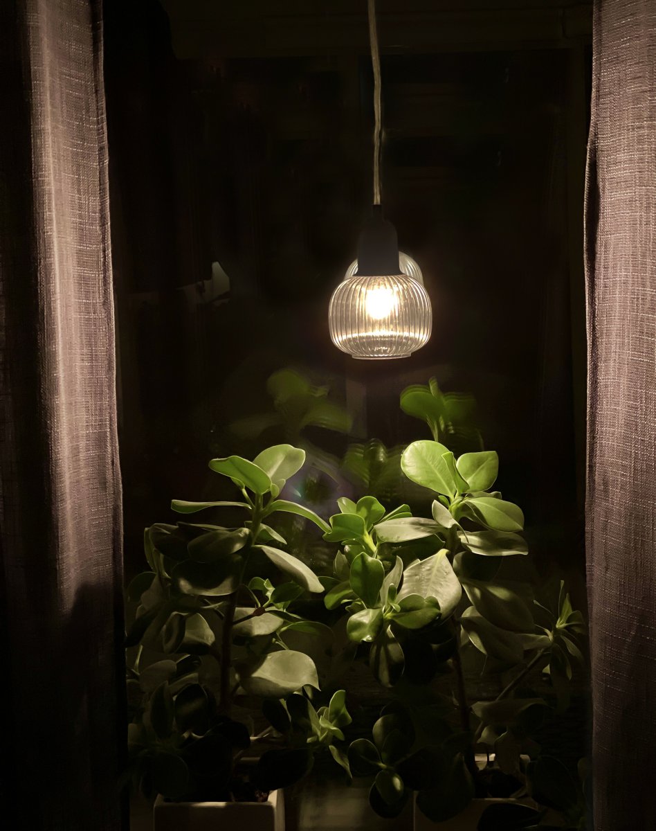 Elin Ø10 Røgfarvet vindueslampe Fra Aneta Lighting - Den populære vindueslampe Elin har et stilrent design i sortlakeret metal og en kuppel i røget glas med dekorative riller.
